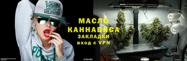 сатива Абинск