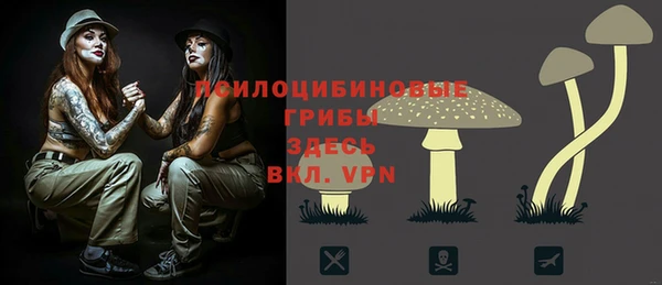 тгк Абдулино