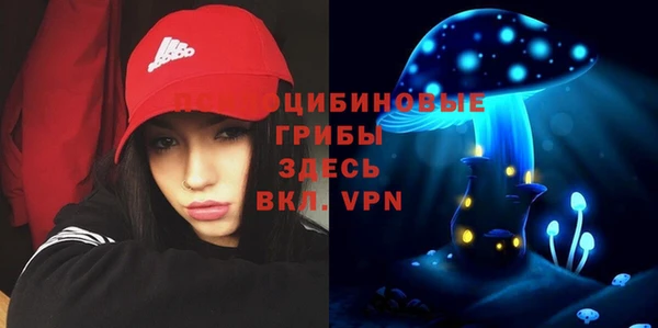 ПСИЛОЦИБИНОВЫЕ ГРИБЫ Михайловск