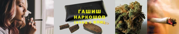 сатива Абинск