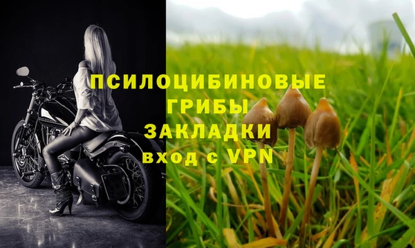 тгк Абдулино