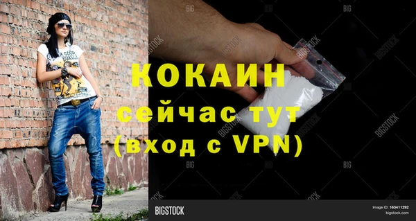 сатива Абинск