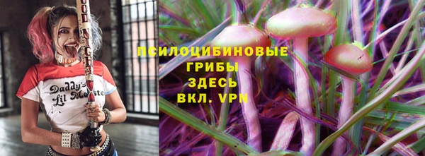 сатива Абинск