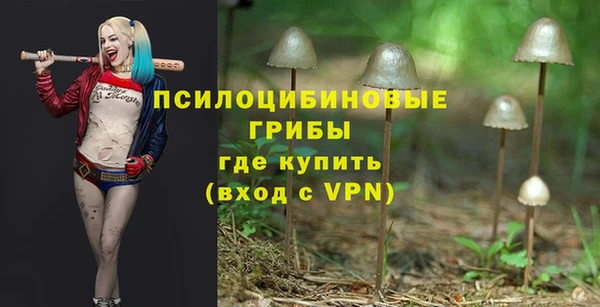 сатива Абинск